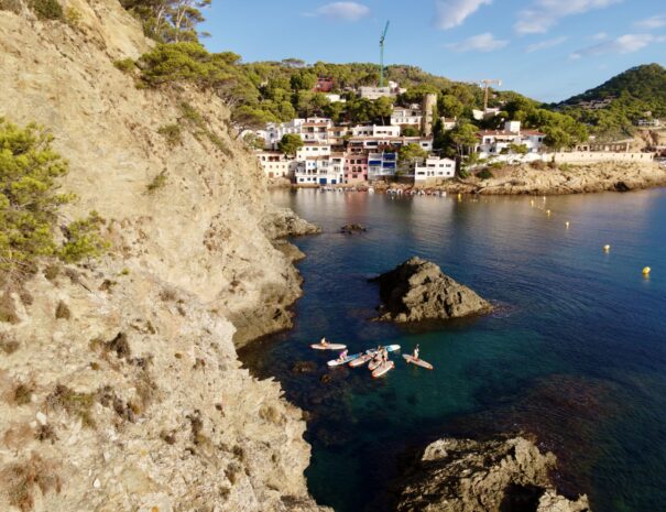 DJI_0323